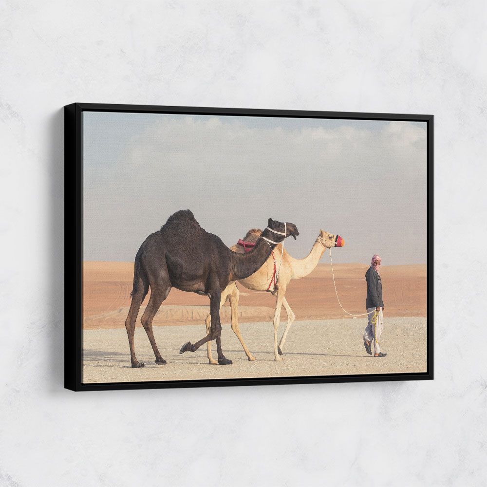 Black White Camels Wall Art